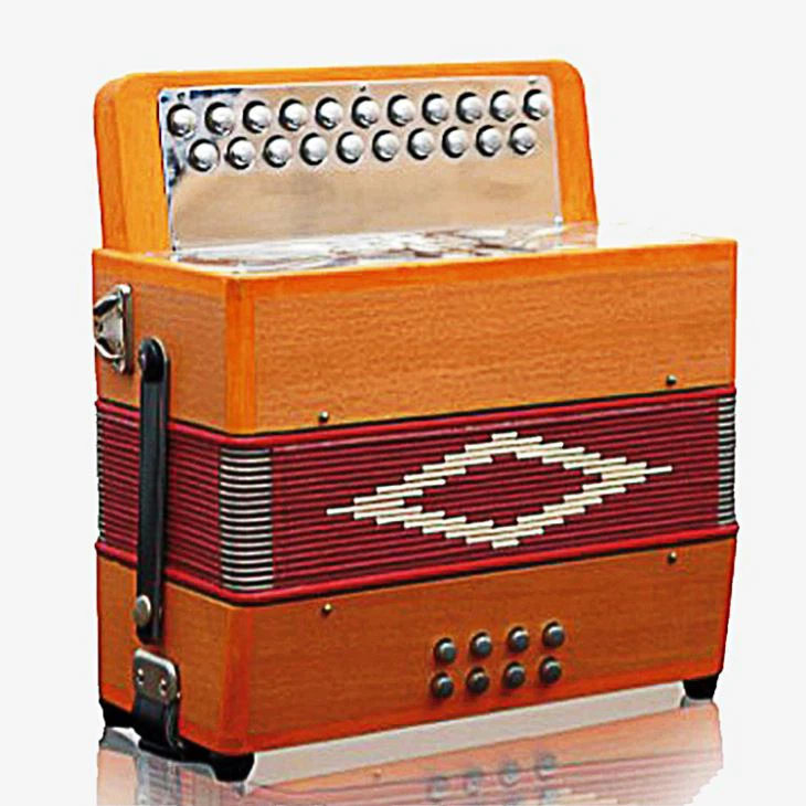 21 Button 8 Bass Button Accordion