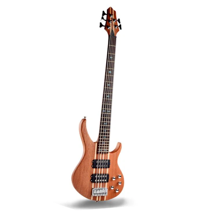 5 torli elektr bas gitara
