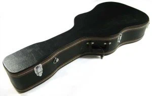 Akustik gitara chinni